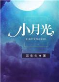 小月光黄经天歌曲
