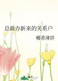 总裁办新来的关系户TXT