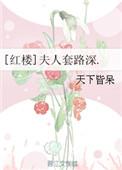 红楼夫人套路深晋江