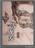 上等宠爱免费
