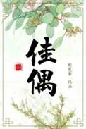 佳偶天成百年琴瑟满心欢喜共赴白头