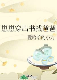 崽崽穿出书找爸爸txt