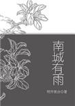 南城有雨txt度盘