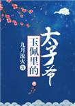 玉佩里的太子爷书评