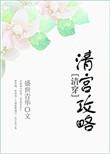 清宫攻略清穿盛世青华