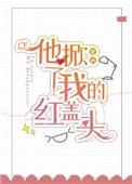他掀了我的红盖头英文