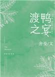 渡鸭之宴无防盗