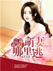 总裁夜敲门萌妻哪里逃字数