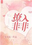 撩入非非全文