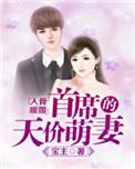 总裁的天价萌妻