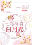 七零知青白月光免费阅读