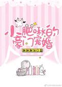 小肥啾全文免费