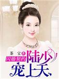 闪婚独宠陆少宠妻有点狂