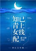 知青女配已上线无防盗章