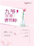 九爷宠妻请节制完整版资源