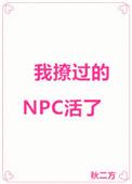 我撩的npc活了txt