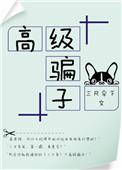 高级玩家全文阅读