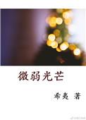 微弱光芒完结加番外
