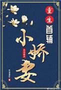 重生之首辅小娇妻全文免费阅读理