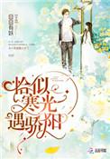 恰似寒光遇骄阳类似