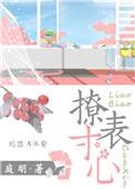 撩表寸心的意思