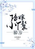 陪嫁丫鬟宠文