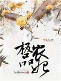 极品农婿