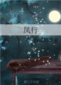 风行露营车价格