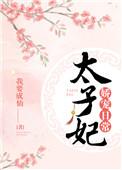 太子妃娇宠日常番外