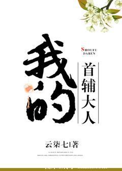 我的首辅大人无错版