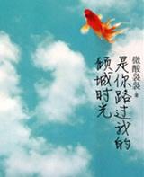 你是我路过的倾城时光下一句