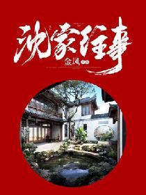 <<沈家往事
