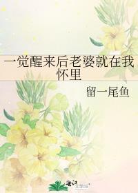 一觉醒来后老婆就在我怀里 作者留一尾鱼