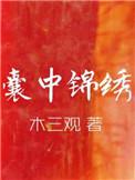 囊中锦绣全文无删减番外