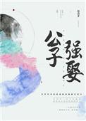 公子强娶txt 丹青手全文免费阅读