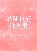 狭陆相逢挽挽胜简介