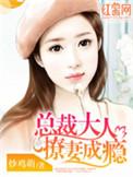 撩婚成爱总裁大人晚上好