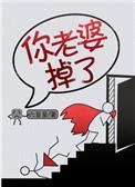 你老婆掉了阅读