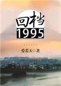 回档1995免费阅读