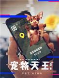 宠物天王 皆破
