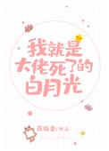 我就是大佬死了的白月光百度