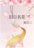 旧日的意思是什么