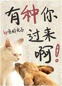 有种你来玩我呀