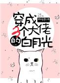 穿成三个大佬的白月光晋江