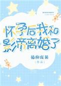 怀孕后我和影帝离婚了txt百度