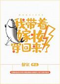 我带着嫁妆嫁给你