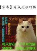 穿成反派的猫晋江
