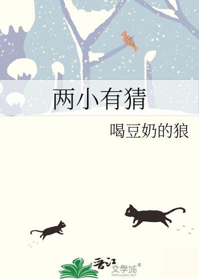 两小有猜丁一