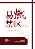 易燃禁区昭乱
