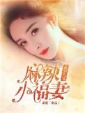 重回九零麻辣小军妻